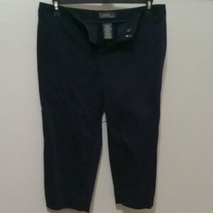 George Navy Shadow Pants